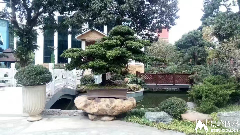 沙河高尔夫别墅_2