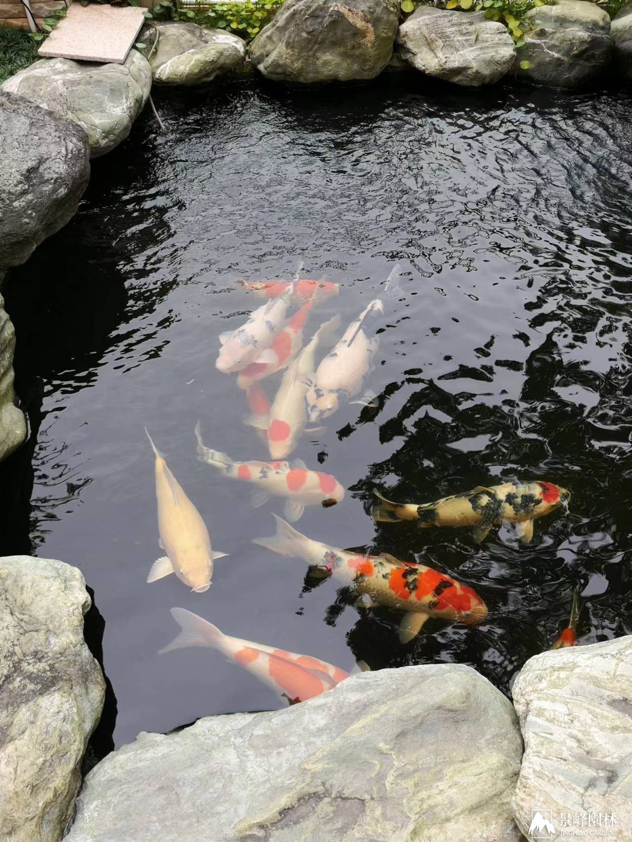 凤岗翡翠山湖_4