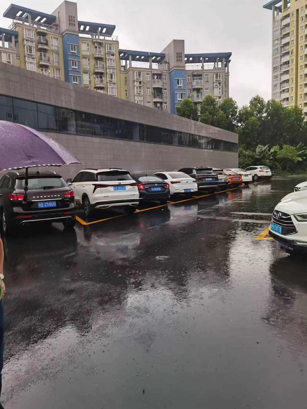 东莞美光达电子厂门前绿化_3